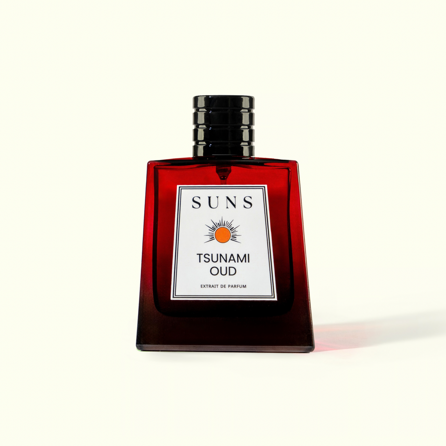 TSUNAMI OUD